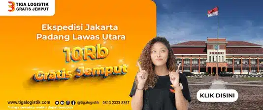 ekspedisi jakarta padang lawas utara